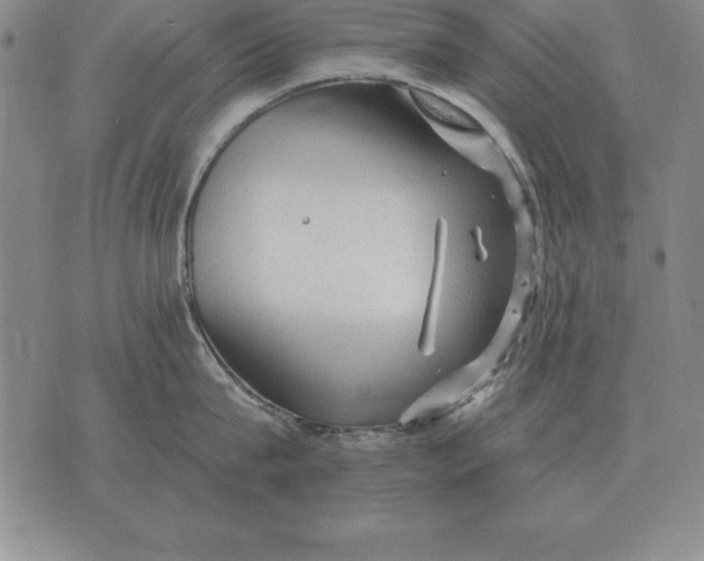 X0000076080815200610152251