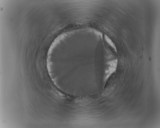 X0000076080817200610152250