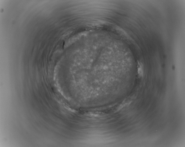 X0000076080819200610152250