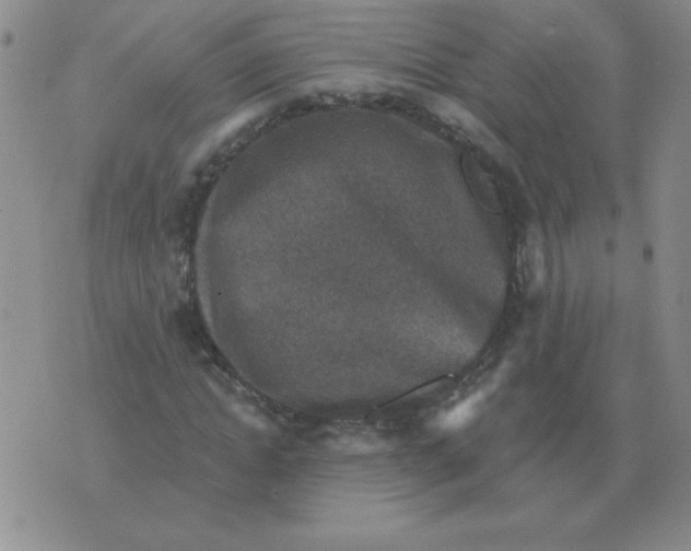 X0000076080822200610152250