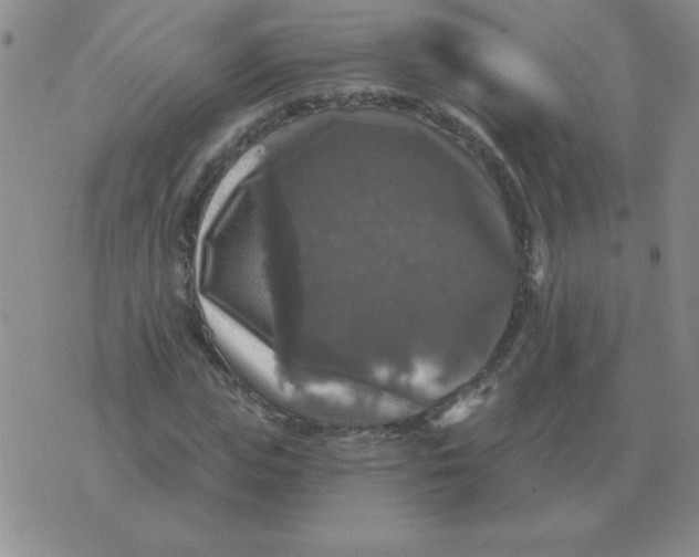 X0000076080823200610152250