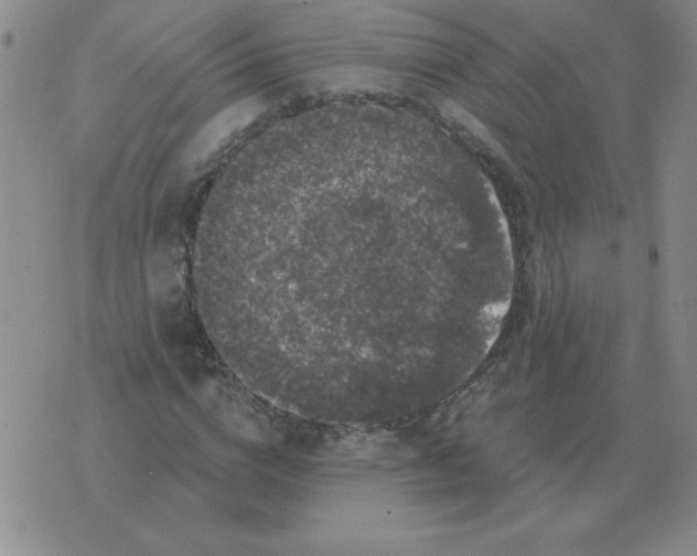 X0000076080824200610152250