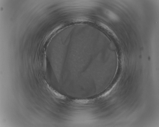 X0000076080825200610152250