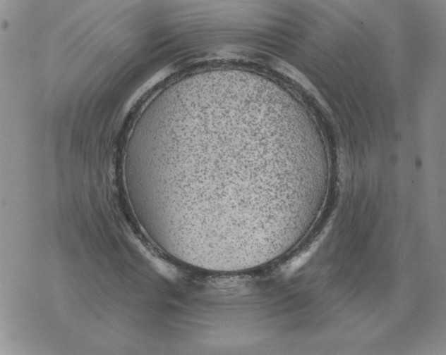 X0000076080826200610152250