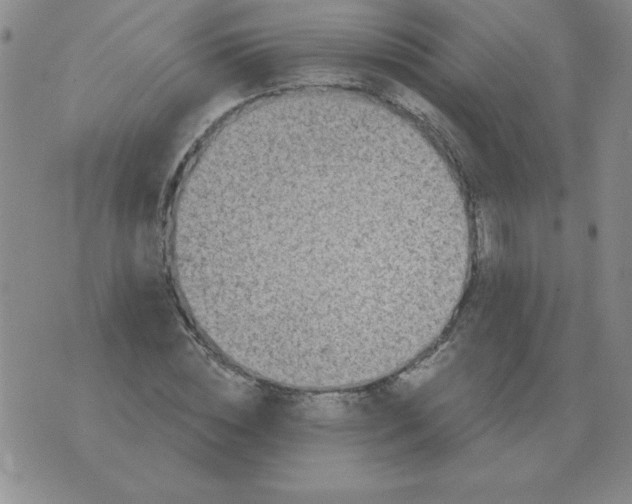 X0000076080828200610152250