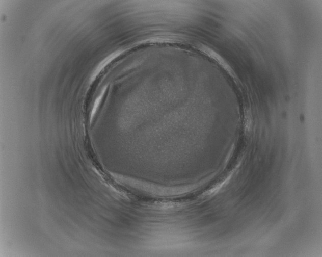 X0000076080829200610152250