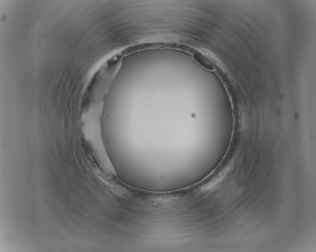 X0000076080830200610152250