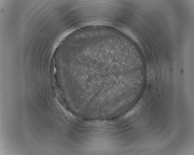 X0000076080831200610152250