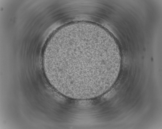 X0000076080832200610152250