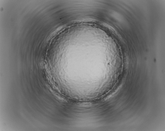 X0000076080833200610152250