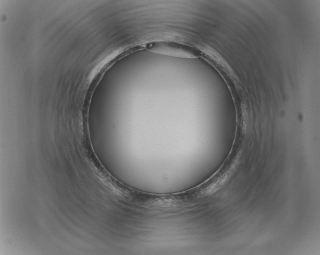 X0000076080834200610152250