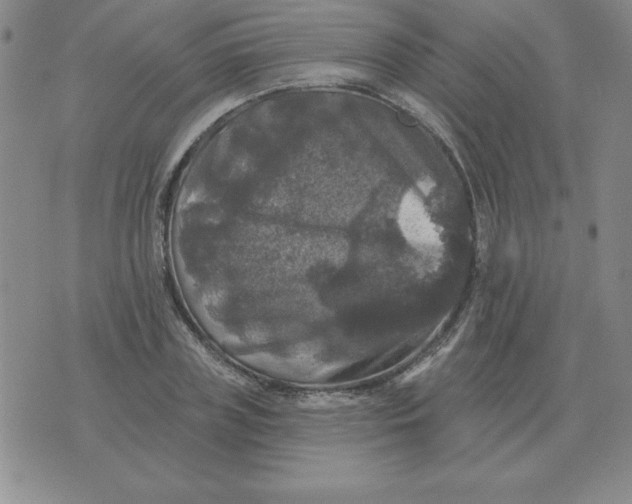 X0000076080835200610152250