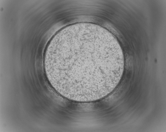 X0000076080836200610152250