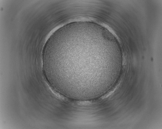 X0000076080837200610152250