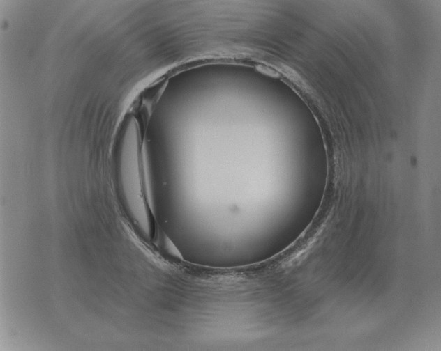 X0000076080838200610152250