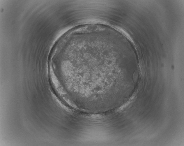 X0000076080839200610152251