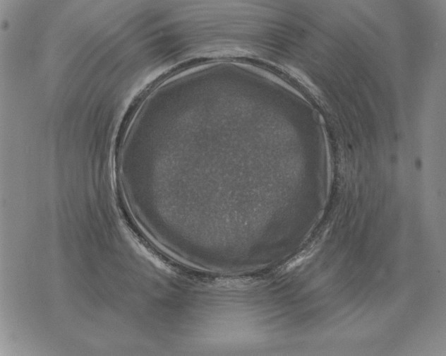 X0000076080840200610152251