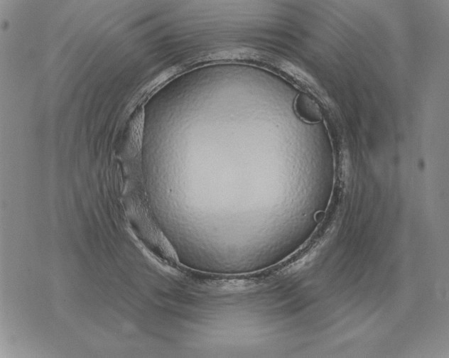 X0000076080841200610152251