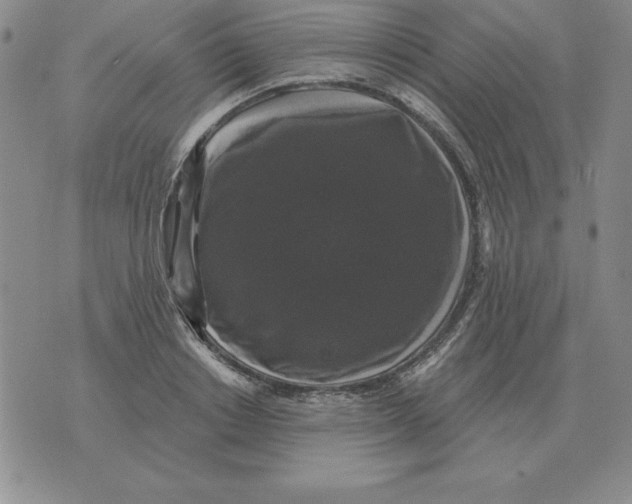 X0000076080842200610152251