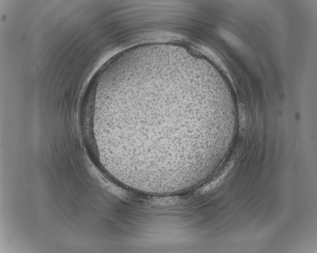 X0000076080843200610152251