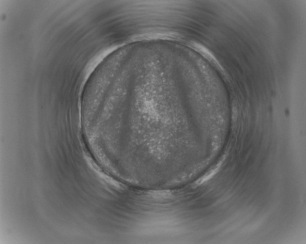 X0000076080844200610152251