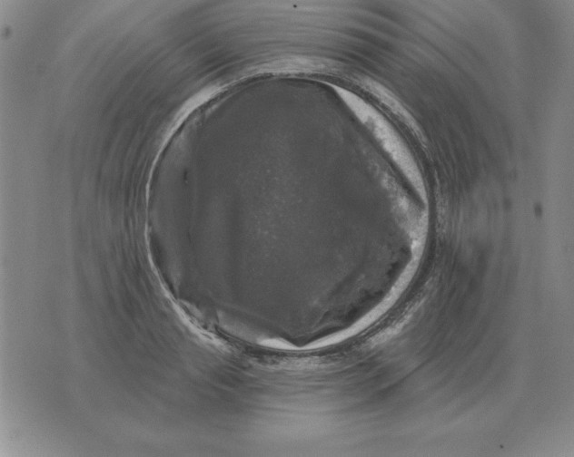 X0000076080845200610152251