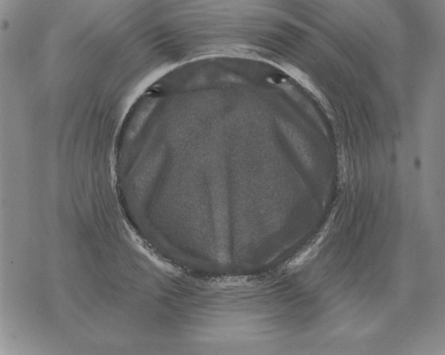 X0000076080846200610152251