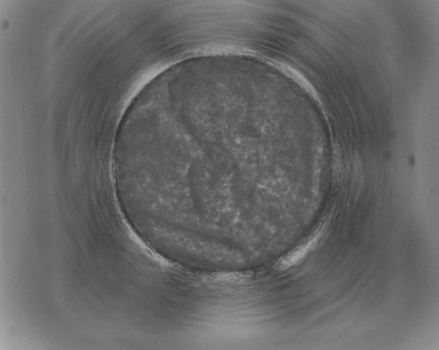 X0000076080847200610152251