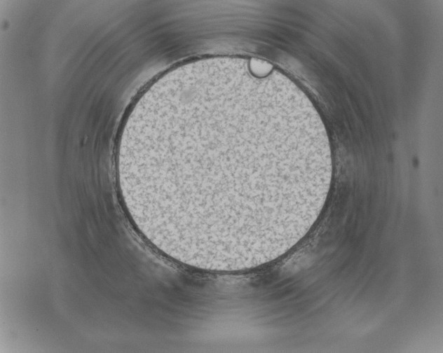 X0000076080848200610152251