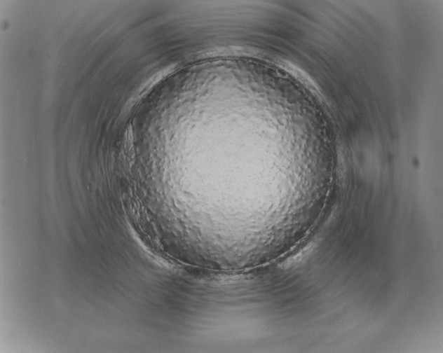 X0000076080849200610152251