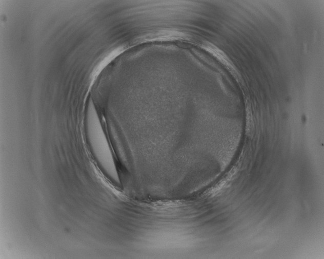 X0000076080850200610152251