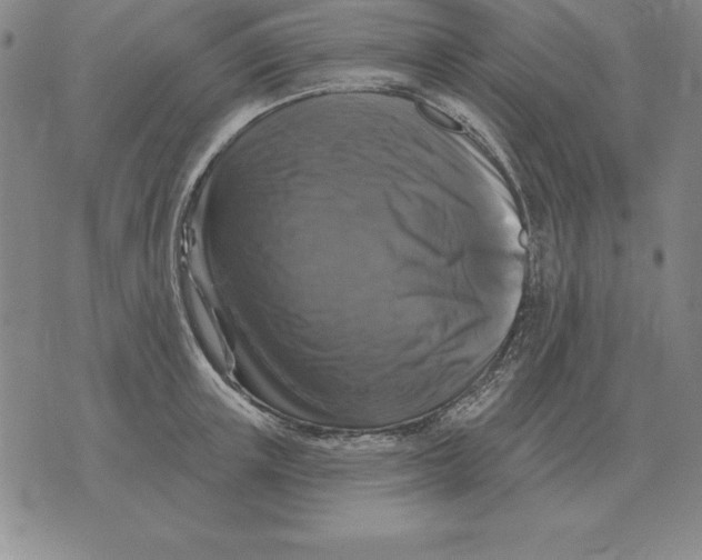 X0000076080851200610152251