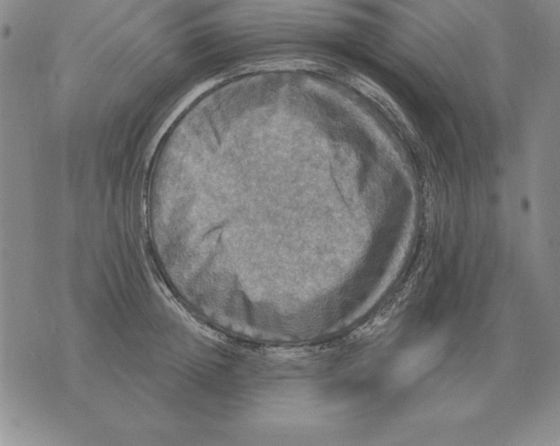 X0000076080852200610152251