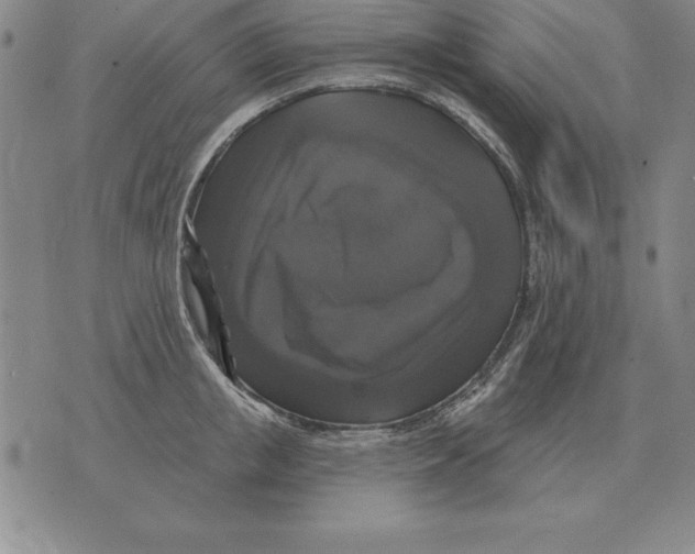 X0000076080853200610152251