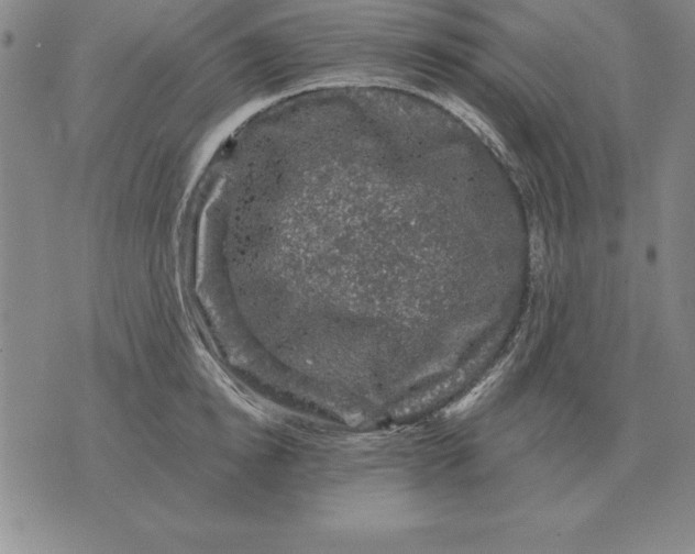 X0000076080854200610152251