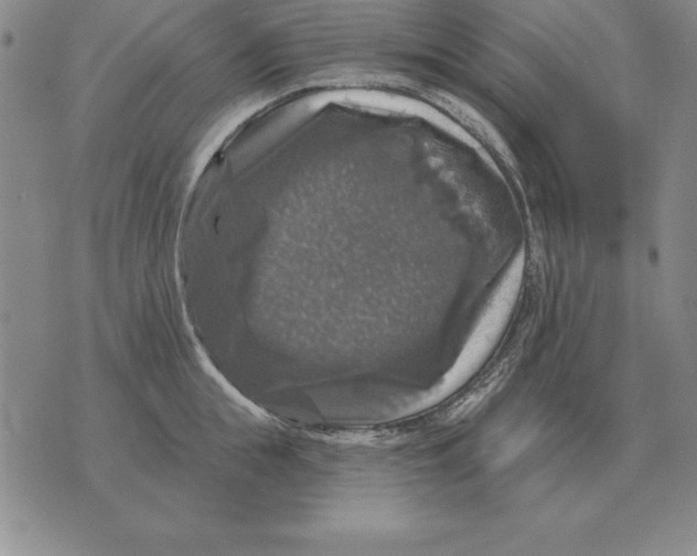 X0000076080855200610152251