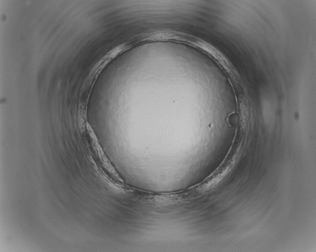 X0000076080857200610152251