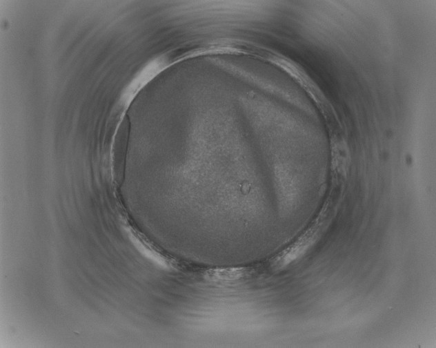 X0000076080858200610152251