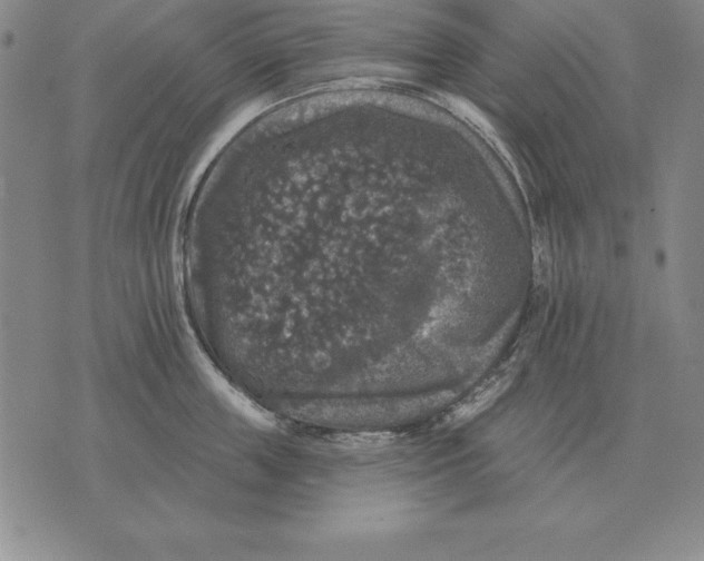 X0000076080859200610152251