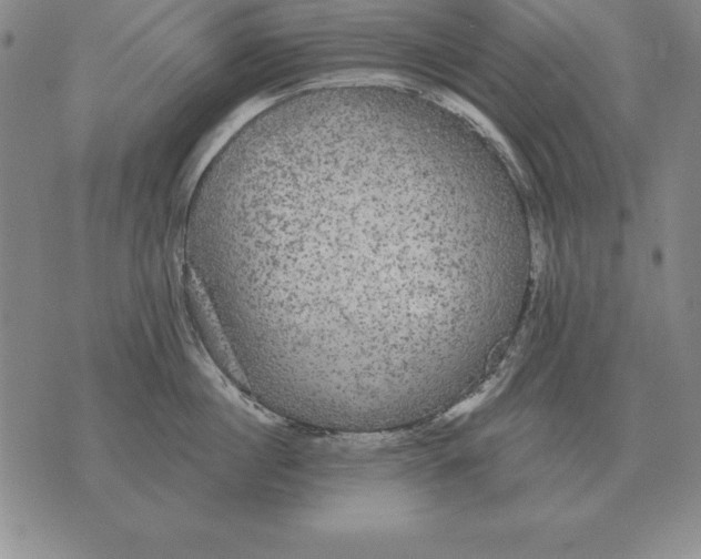 X0000076080860200610152251