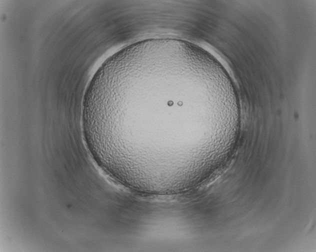 X0000076080861200610152251