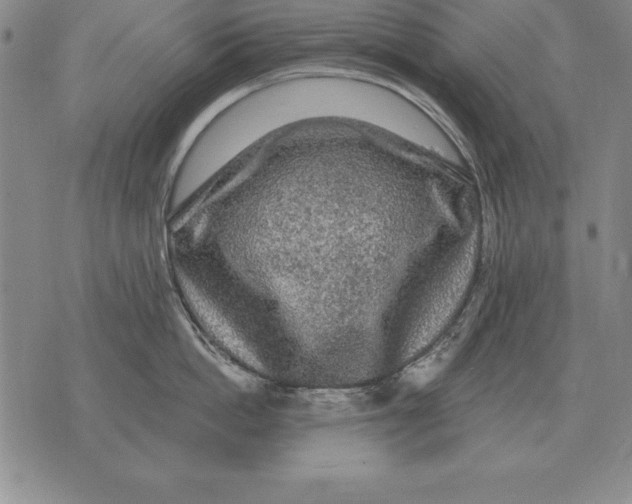 X0000076080862200610152251