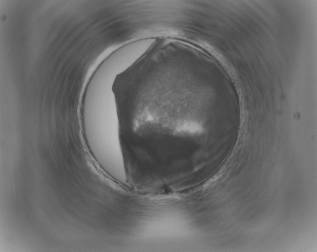 X0000076080864200610152251