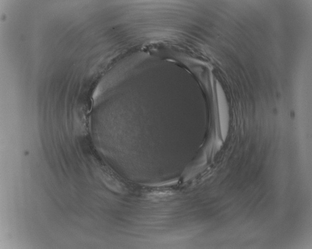 X0000076080868200610152250