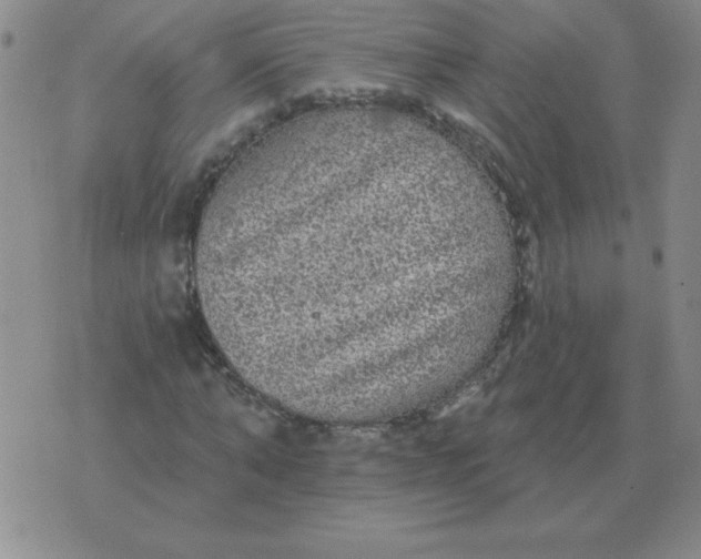 X0000076080870200610152250