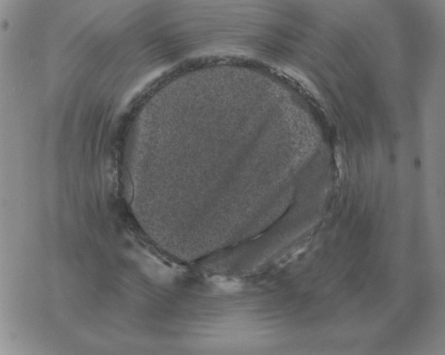 X0000076080872200610152250