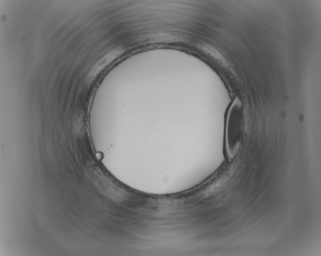 X0000076080873200610152250