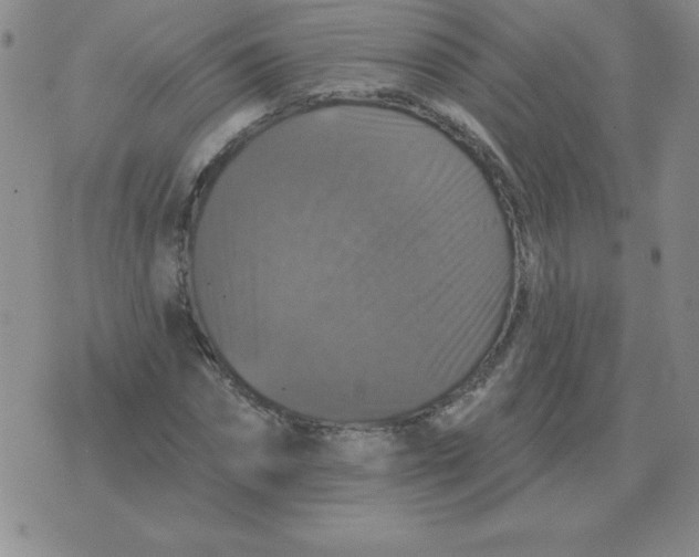 X0000076080874200610152250