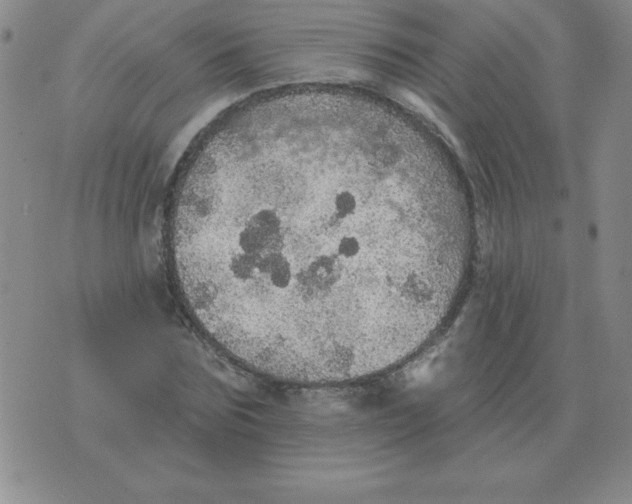 X0000076080875200610152250