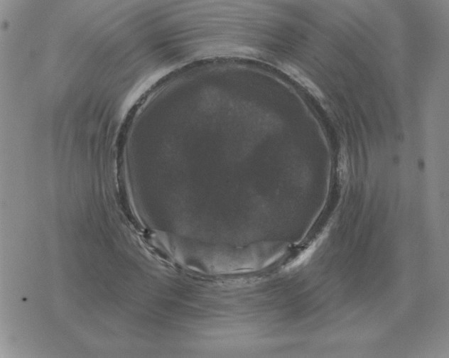 X0000076080877200610152250